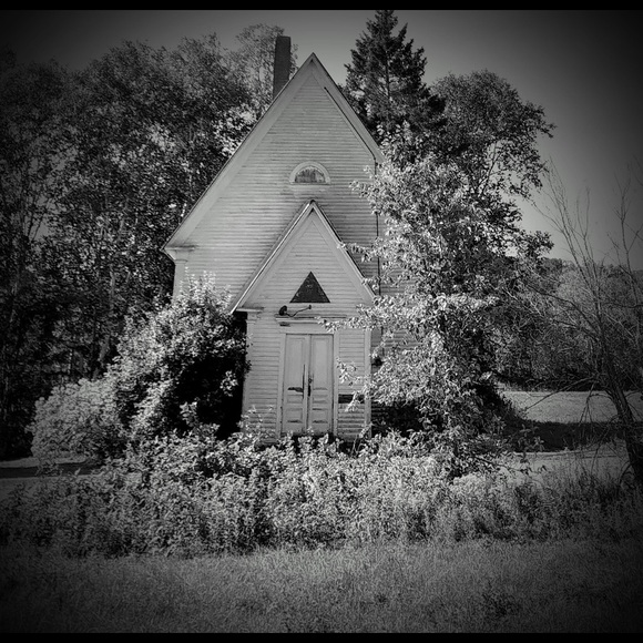 Meet your Posher, Eloise - Picture 5 of 12